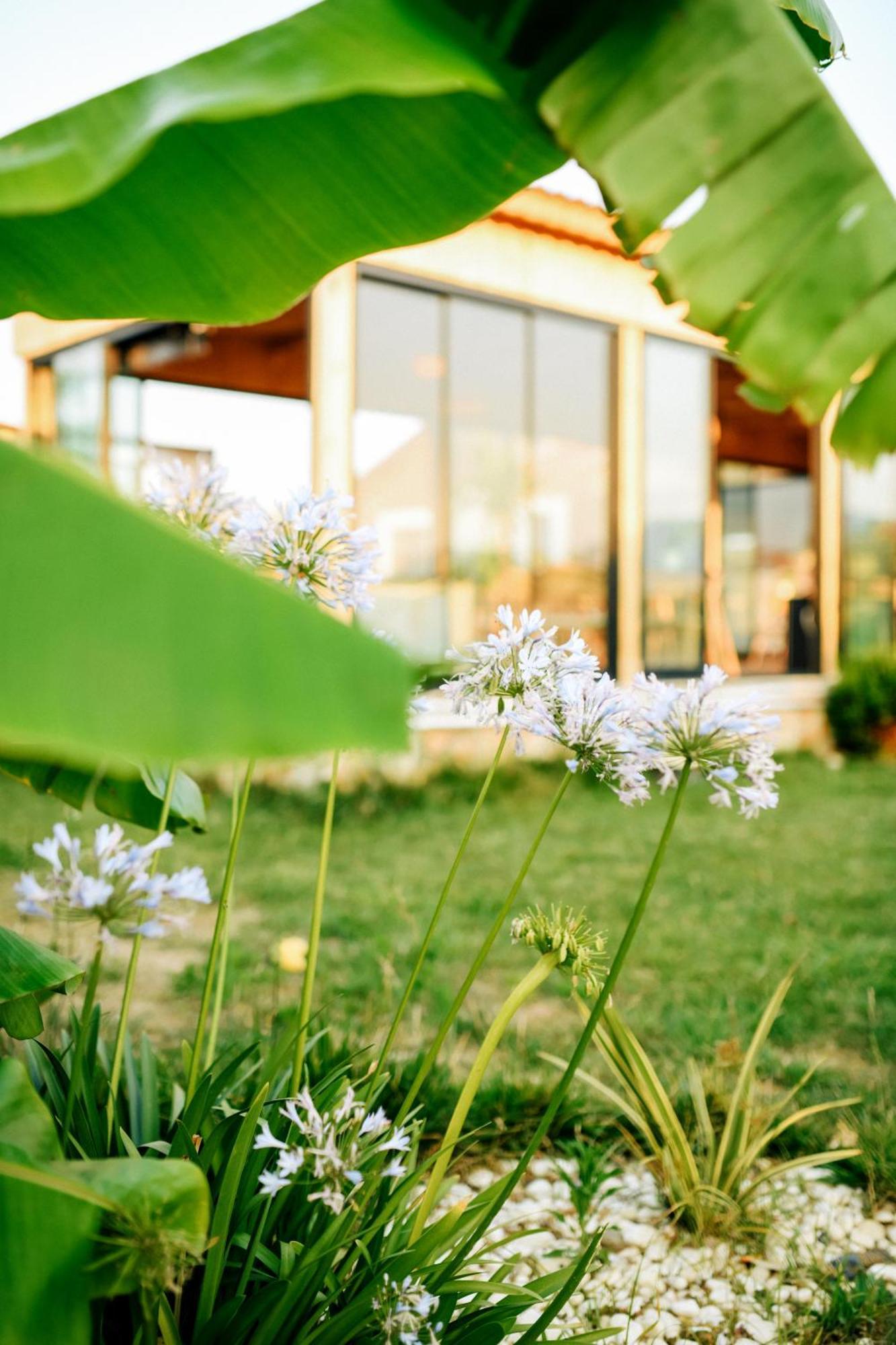 Mandalin Glamping Hotel Selçuk Luaran gambar